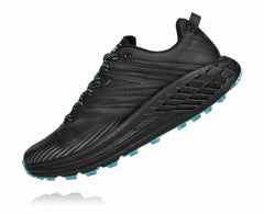 Women's Speedgoat 4 GORE-TEX Anthracite / Dark Gull Grey
