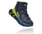 Women's TenNine Hike GORE-TEX Ombre Blue / Green Sheen