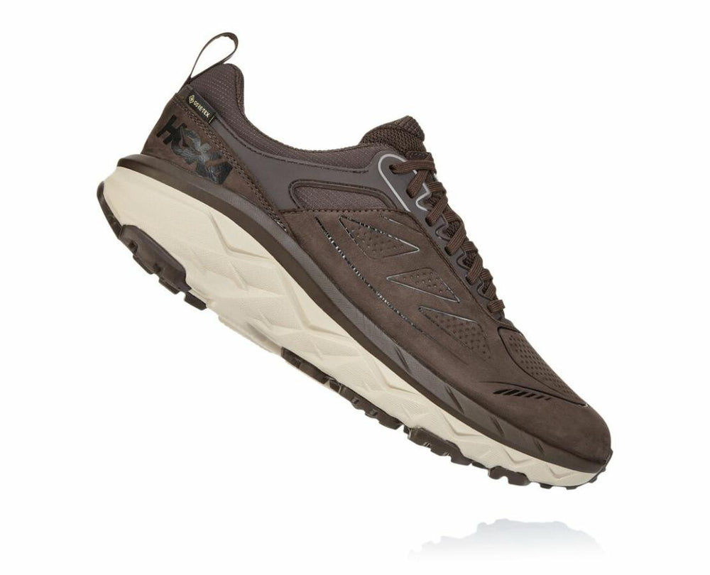 Men Trail Running | HOKA ONE ONE Challenger Low GORE-TEX Demitasse