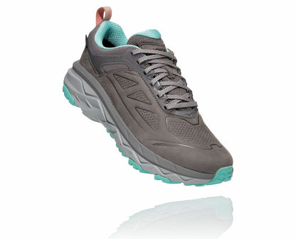 Women's Challenger Low GORE-TEX Charcoal Gray / Wild Dove