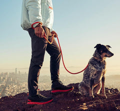 Men Bottoms | HOKA ONE ONE Jogger Black