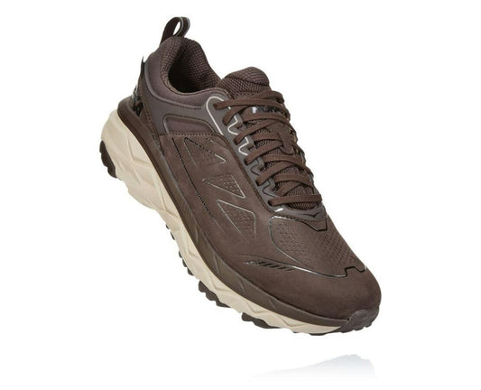 Men Trail Running | HOKA ONE ONE Challenger Low GORE-TEX Demitasse