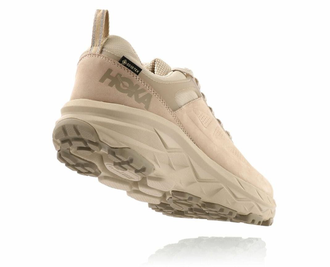Men Trail Running | HOKA ONE ONE Challenger Low GORE-TEX Oxford Tan / Dune