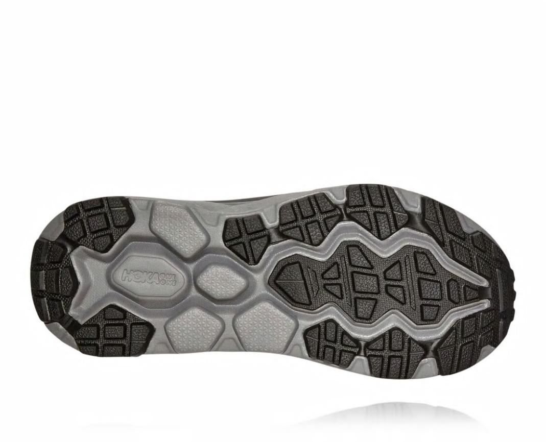 Women Trail Running | HOKA ONE ONE Challenger ATR 5 Imperial Blue / Pink Peacock